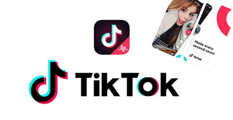 TikTok downloader pc
