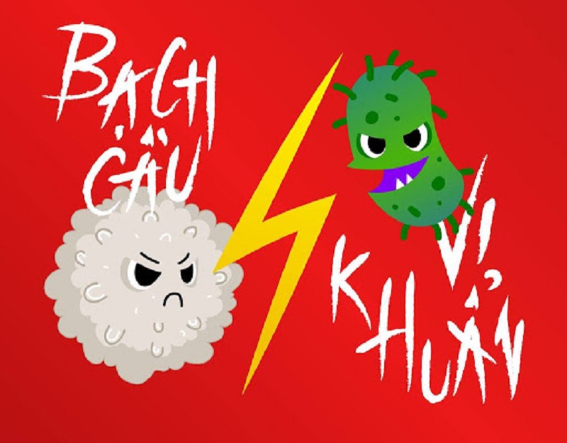 Bạch cầu giúp nhận diện và chống lại vi khuẩn, virus, nấm và ký sinh trùng