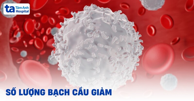 Bạch cầu thấp có thể làm cơ thể dễ bị nhiễm trùng hơn