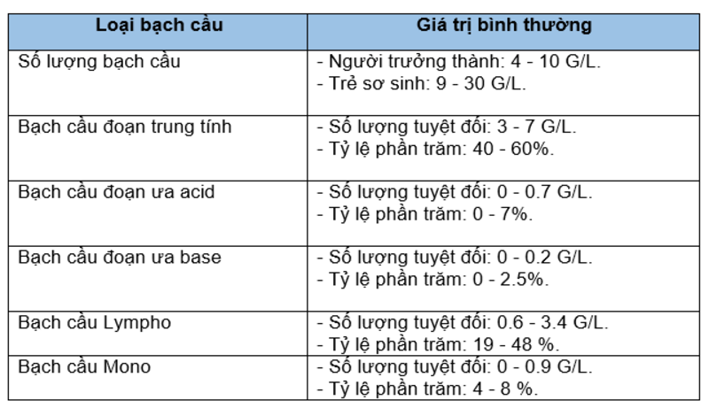 Không nên tự kết luận bệnh chỉ dựa vào một chỉ số bạch cầu