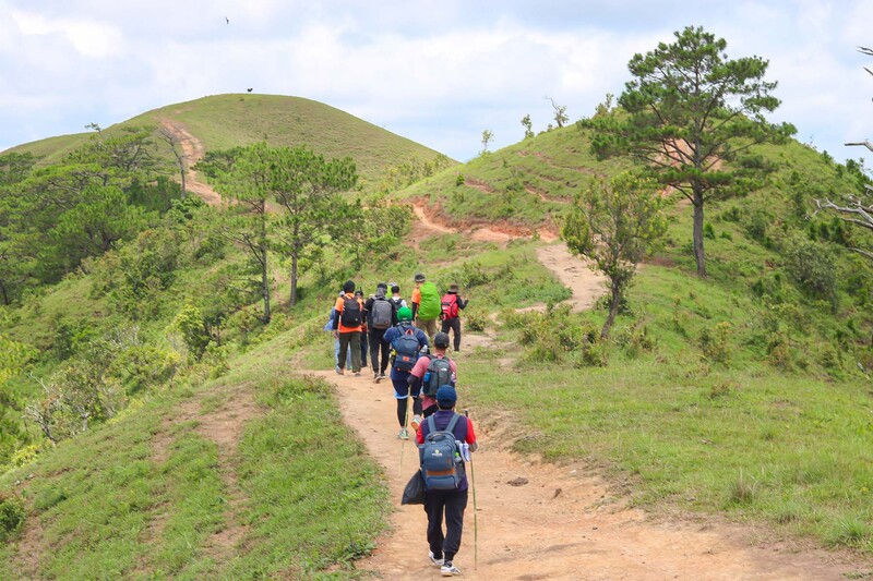 Hiking là hoạt động đi bộ khám phá thiên nhiên trên các cung đường rừng, đồi, núi thấp hoặc công viên sinh thái.