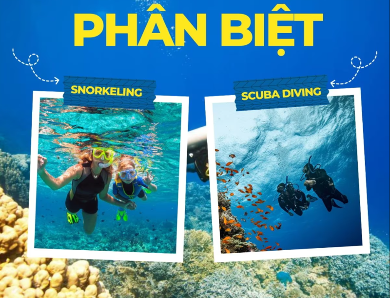 Lặn scuba cho phép người tham gia xuống sâu và ở dưới nước lâu hơn so với lặn ống thở. 