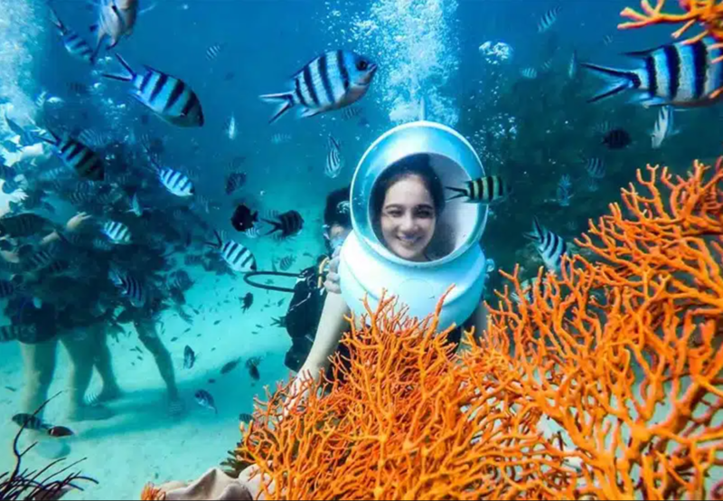 Địa điểm scuba diving phù hợp cho người mới nên có nước trong, dòng chảy nhẹ và trung tâm lặn chuyên nghiệp. 